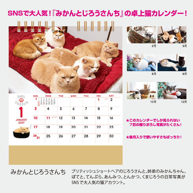 nk527-img2