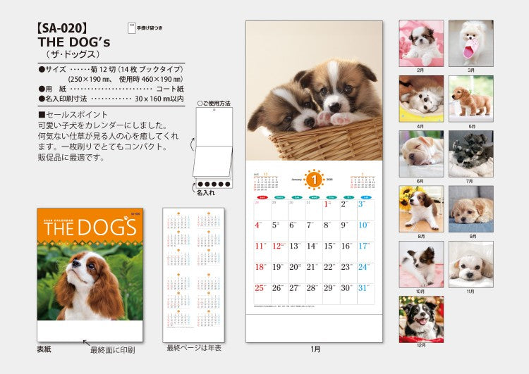 THE DOGs