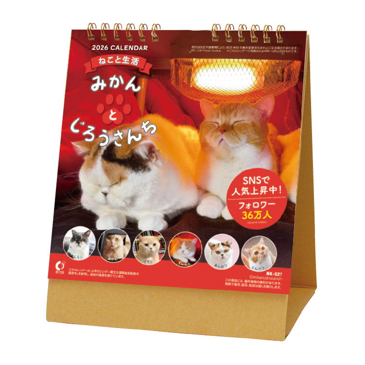 ねこと生活 みかんとじろうさんち