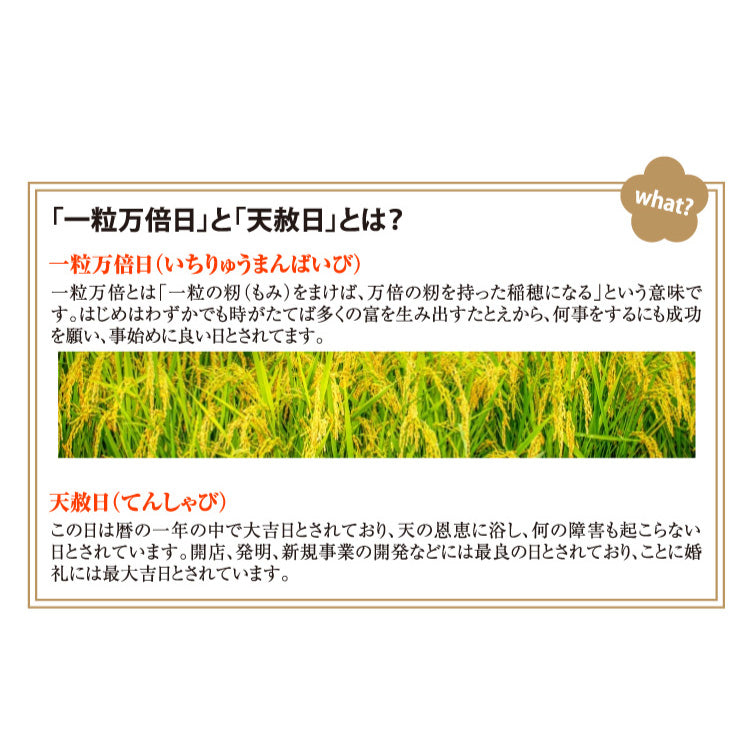 一粒万倍日カレンダー