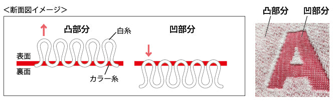 サンプル画像