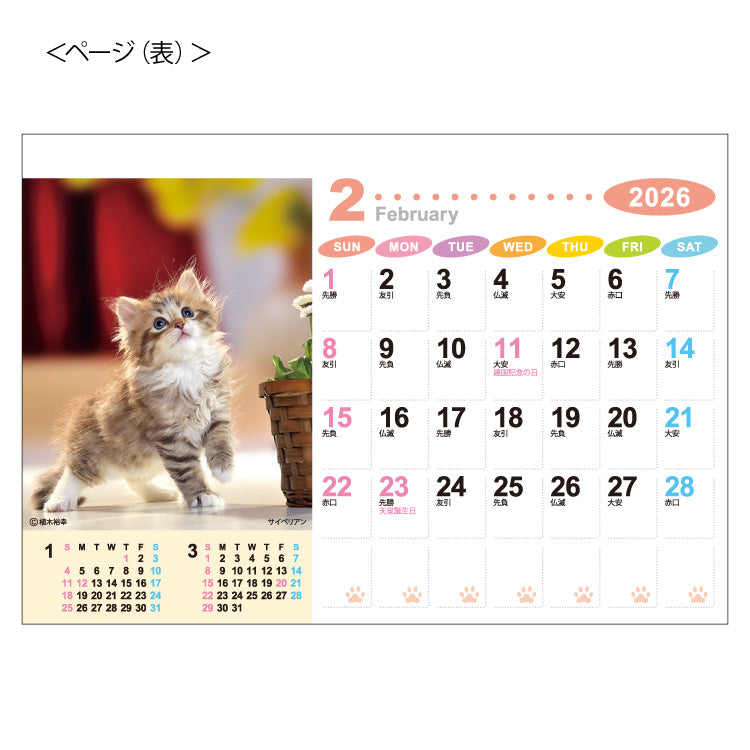 ラブリーフレンズ