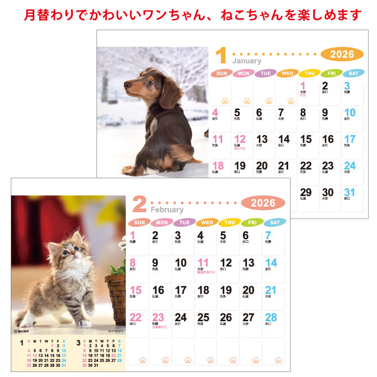 ラブリーフレンズ