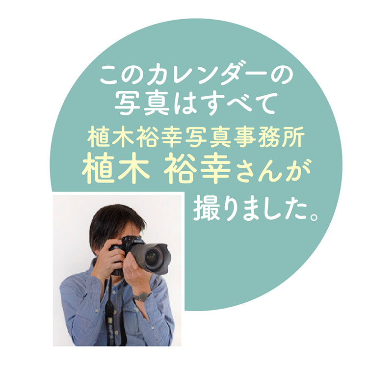 B3ラブリーフレンズ（犬・猫）
